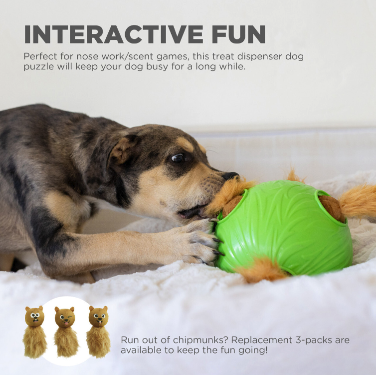 Outward Hound Dog Snuffle N' Treat Ball Puzzle with 6 Chipmunks